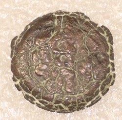 PTOLEMEE VI