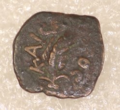 MARCUS AMBIBULUS