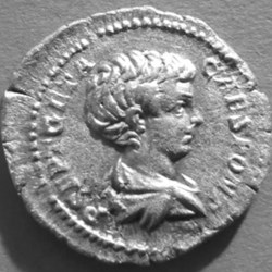 Géta César, Rome, 204 - CASTOR