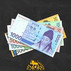South Korean Won