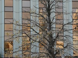 2011-03-08-Budapest, Hongrie