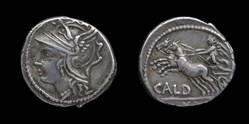 C. Coelius Caldus, Denarius