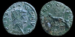 Libero - panthère