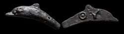 Scythia, Olbia - AE cast dolphin
