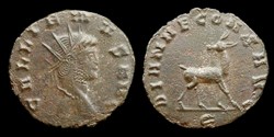 Dianae - biche