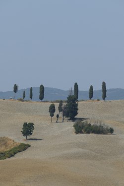 2021-08-16-Volterra