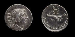 Albinus Bruti F., Denarius