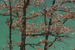 2019-03-23-Chambod