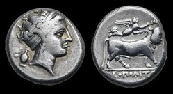 Campania, Neapolis - AR Didrachm. Circa 300-275 BCE