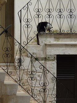 2016-04-18-Cisternino, Pouilles, Italie