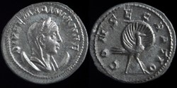Diva Mariniana, Antoninianus
