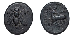 Ephesos AE Stag