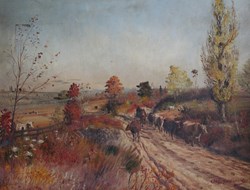 Cows in Autumn