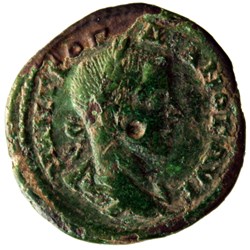 Triassaria 3 graces