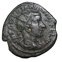 Diassaria Gordien radié, nemesis