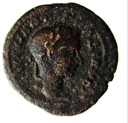 diassaria