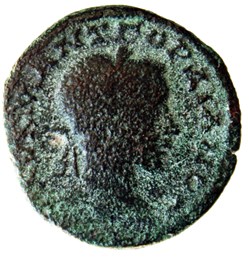 Triassaria