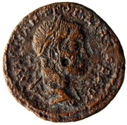Tétrassaria asklepios