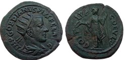Diassaria Gordien radié, junon