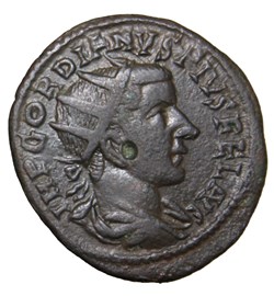 Diassaria Gordien radié, Apollon