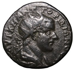 Gordien Hexassaria Triptolemee