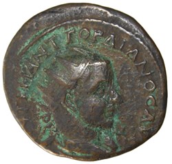 Pentassaria Hercules