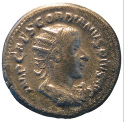 antoninien Hybride Philippe