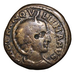 Diassaria Tranquilline, Apollon