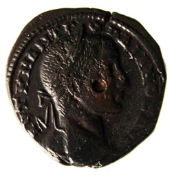tetrassaria Hygiea