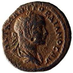 Tétrassaria aigle