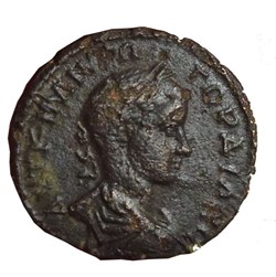 Gordien pentassaria nemesis