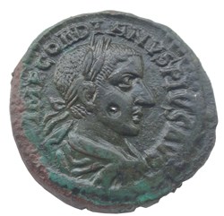 Diassaria Gordien lauré, concordia