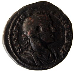Tétrassaria Castor et son cheval