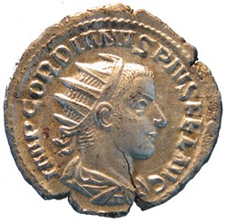 antoninien Hybride Philippe