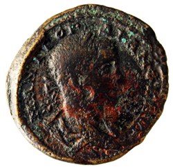 Tétrassaria Athena assise