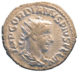antoninien Hybride Philippe