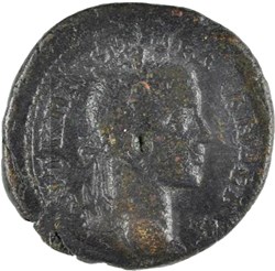 tetrassaria Apollon