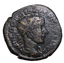 Diassaria Gordien radié, Apollon