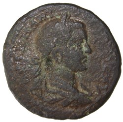 Triassaria Sarapis