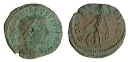 Diassaria Gordien radié, nemesis