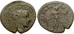 Diassaria Gordien radié, Apollon