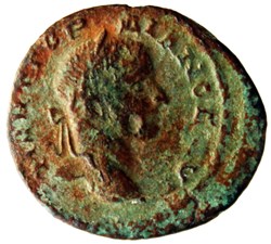 diassaria tyche