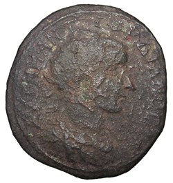 Gordien Hexassaria Hercules