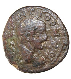 Triassaria dauphin