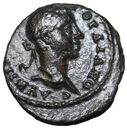 Assarion Hercules