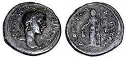 triassaria demeter