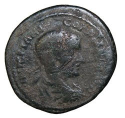 Diassaria Gordien lauré, Hades