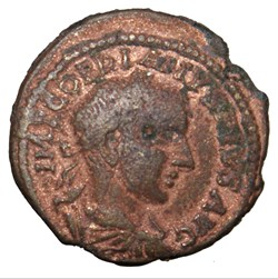 Diassaria Gordien lauré, concordia
