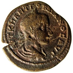 pentassaria Tyche