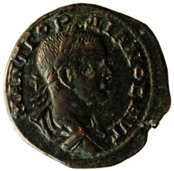Tétrassaria Tyche